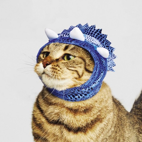 Kawaii Kitty Fashion: Styling and Dressing Up the Cutest Kittens