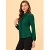 Allegra K Women's Office Solid Turn Down Collar Lace Trim Long Sleeve Button Down Shirt - 3 of 4