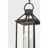 Troy Lighting Sanders 4 - Light Pendant in  Black Clear Shade - 4 of 4