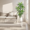 Artificial Brazilian Wood Tree – Realistic Indoor Fake Plant for Bedroom, Bathroom, Home Office, Entryway & Living Room Décor - 4 of 4