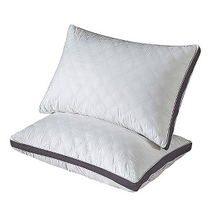 Dr Pillow Sepoveda Bed Sleep 2 PACK  Pillow - 1 of 4