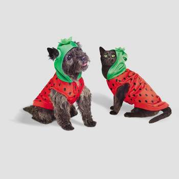 Midlee Strawberry Dog Costume Small