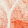 orange/ivory