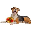 Midlee Turkey Thanksgiving Sugar Cookie Dog Toy - 2 of 4