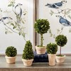 Plum & Post Boxwood Topiaries Faux (Fake) In Pots Set of 5 - 3 of 4