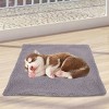 Pet Genius Heated Pet Pad - M - 4 of 4