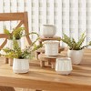 Plum & Post DEZIE MINI POTS Set of 6 - 4 of 4