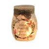 Stony Creek 4.0 Inch Good Health Garden Pre-Lit Jar Round Jar Ribbon Bow Novelty Sculpture Lights - 2 of 3