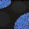 Nature Spring Glow-in-the-Dark Solar Pathway Pebble Lights, 200 Pcs. - Blue - 4 of 4