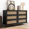 Dexmalle Rattan Wood Closet 6-Drawer Dresser - 4 of 4