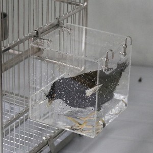 Transparent acrylic hook bird bathtub, thickened hanging bathtub bird supplies parrot large parrot shower cage accessories - 1 of 4
