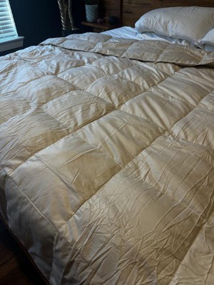 Guest review image 2 of 2, zoom in