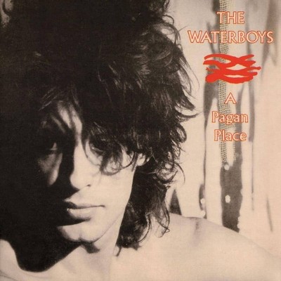 Waterboys - Pagan Place (CD)