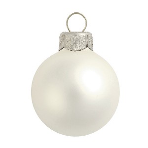 Northlight 40ct Fish Silver Matte Finish Glass Christmas Ball Ornaments 1.25" (30mm) - 1 of 2