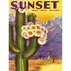 New York Puzzle Company Cactus Blooms 500 Piece Puzzle - 3 of 4