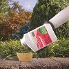 Bonide Pyrethrin Insect Killer Liquid, Concentrate - 16 fl oz - 2 of 4