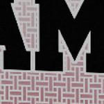 south carolina gamecocks