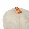 Stoneware Pumpkins White - Bullseye's Playground™ - 3 of 3