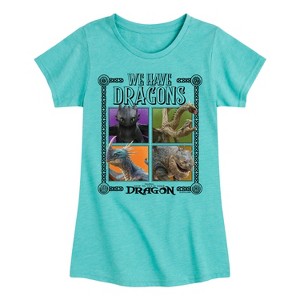 Girls' - How to Train Your Dragon - We Have Dragons Fitted Short Sleeve Graphic T-Shirt - 1 of 3