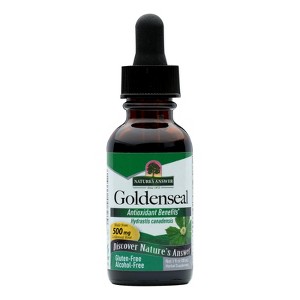 Nature's Answer - Goldenseal Root - Alcohol Free - 1 fl oz - 1 of 2