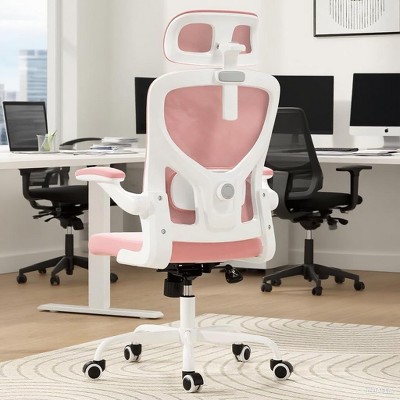 NicBex Ergonomic Mesh Office Chair,Home Office Desk Chair with Flip-Up Arms,Adjustable Lumbar Support,Desk Chair with Headrest for Study Room