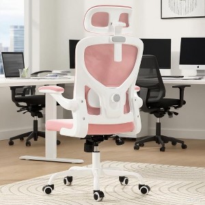 NicBex Ergonomic Mesh Office Chair,Home Office Desk Chair with Flip-Up Arms,Adjustable Lumbar Support,Desk Chair with Headrest for Study Room - 1 of 4