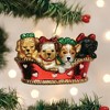 Old World Christmas Blown Glass Ornament for Christmas Tree, Puppies In A Basket (with OWC Gift Box) - 2 of 4