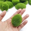 Aoibox 30 PCS Artificial Moss Rocks Decorative, Green Moss Balls, Moss Stones, Fake Moss Decor for Floral Arrangements, Fairy Gardens and Crafting - 2 of 4
