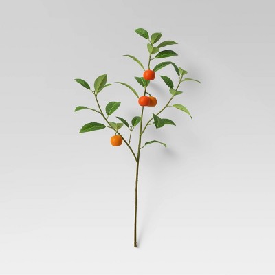 28" Artificial Citrus Plant Stem with Leaves - Threshold™