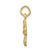 Black Bow Jewelry 14k Yellow Gold Virgo the Virgin Zodiac Satin and Diamond Cut Charm - 2 of 4