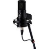 Warm Audio Recording Bundle With WA12-MKII Mic Pre, WA-8000 Condenser Microphone and Premier XLR 15' Mic Cable - 4 of 4