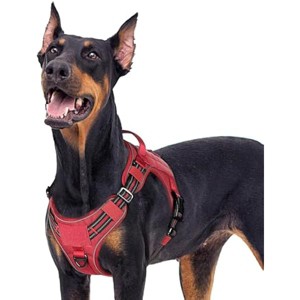 rabbitgoo Dog Harness for Large Dogs No Pull, l Handle, for Easy Walking and Training, Red, XL - 1 of 1