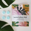 Instant Plant Food 4 Tablet Pouch for Indoor Houseplants 0.96oz - 3 of 4