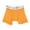 Fruit of the Loom Toddler Boy's Assorted Boxer Brief with Sport Print Waistband - 3 of 4