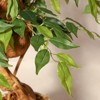 Whizmax Artificial Ficus Tree - Realistic Curved Trunk Faux Plant in White Pot, Silk Indoor Tree for Home Decor - 2 of 4