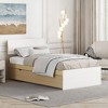 Twin Size Bed Frame with Twin Size Trundle, Headboard and Footboard - 3 of 4