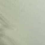 2pcs