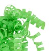 Green Crimped Curl Swirl - Spritz™ : Target