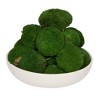 Vickerman Natural Botanicals 1  lb. Apple Green Pole Moss. - 3 of 4