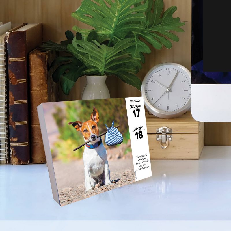 Willow Creek Press 2024 Daily Desk Calendar 5.2&#34;x6.2&#34; What Dogs Teach Us, 4 of 6