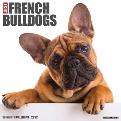 2022 Wall Calendar Just French Bulldogs - Willow Creek Press