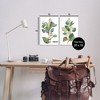Stupell Industries Soft Eucalyptus Plant Ombre Leaves 2pc Wall Plaque Art Set - 3 of 4