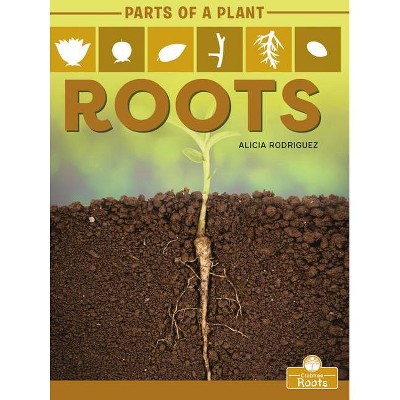 Roots - (Parts of a Plant) by  Alicia Rodriguez (Paperback)