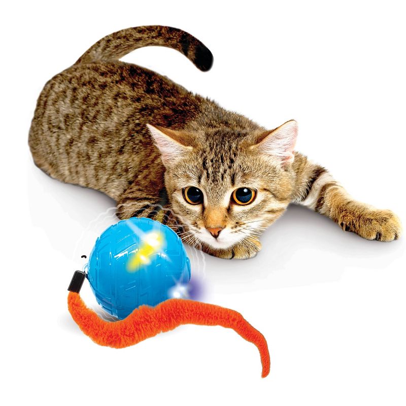 Nerf Cat Wiggle LED Ball with Tail Cat Toy - Blue/Orange - 3.5&#34;, 5 of 6