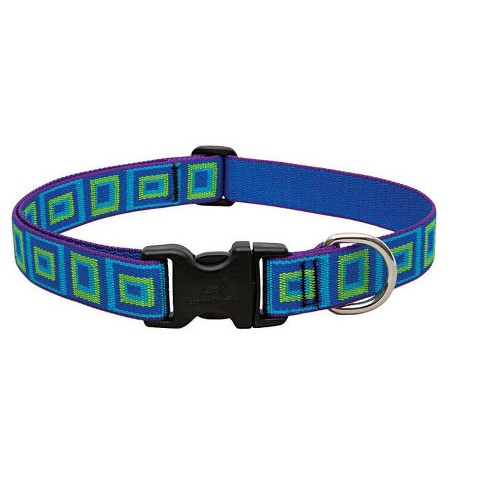 Lupine original best sale dog collar