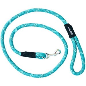 ZippyPaws Climbers Rope Heavy Duty Dog Leash, Durable 2/3'' Climbing Rope, 6 Feet Long, Tested Strength Over 3000 lbs - Teal - 1 of 1