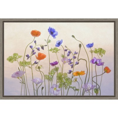 Amanti Art Poppy & Anemone (Flowers) by Catherine W. Canvas Wall Art Print Framed 23 x 16-in.