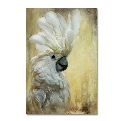 Trademark Fine Art -Lois Bryan 'Cocktoo' Canvas Art