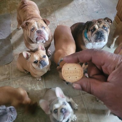 Milk-Bone Stacked Sandwich Biscuits, Carob and Peanut Butter