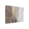 Trademark Fine Art-Jennifer Goldberger 'Glitter Rain Ii' Canvas Art - 3 of 4